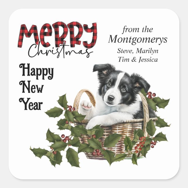 Sticker Carré Bordure Collie Puppy Holly Panier Noël (Devant)