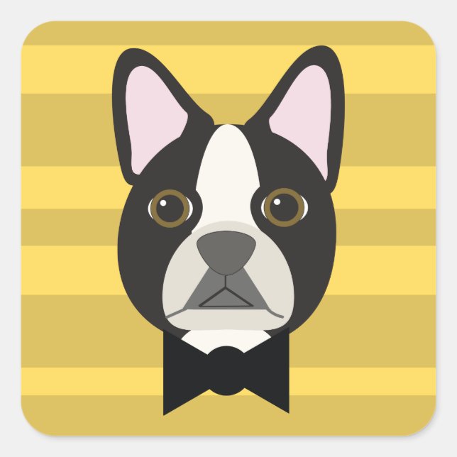 Sticker Carré Boston Terrier (Devant)