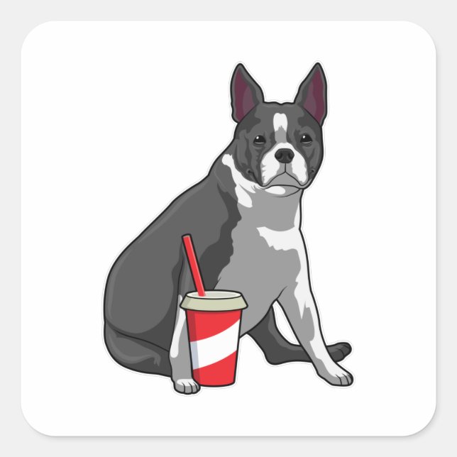 Sticker Carré Boston Terrier avec boisson (Devant)