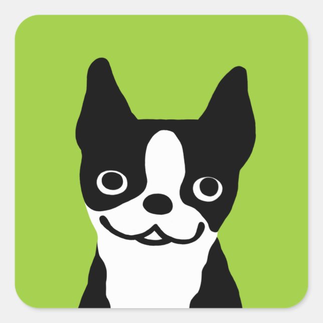 Sticker Carré Boston Terrier - Chien mignon (Devant)