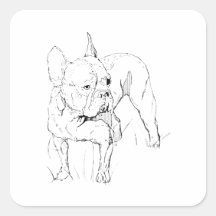 Boucledog français – Illustration de chien dessiné