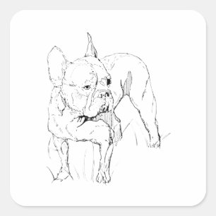 Sticker Carré Boucledog français – Illustration de chien dessiné