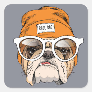 Sticker Carré Bouledogue frais de hippie