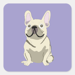 Sticker Carré Bouledogue français crème,