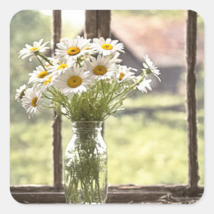 Sticker Carré Bouquet de la marguerite dans la fenêtre
