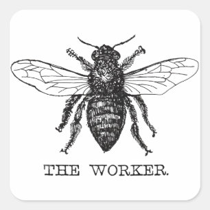 Sticker Carré Bourdon noir ouvrier abeille miel