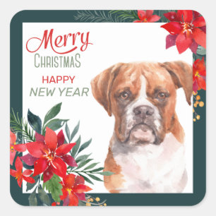 Sticker Carré Boxer Chien Poinsettia Frontière Noël