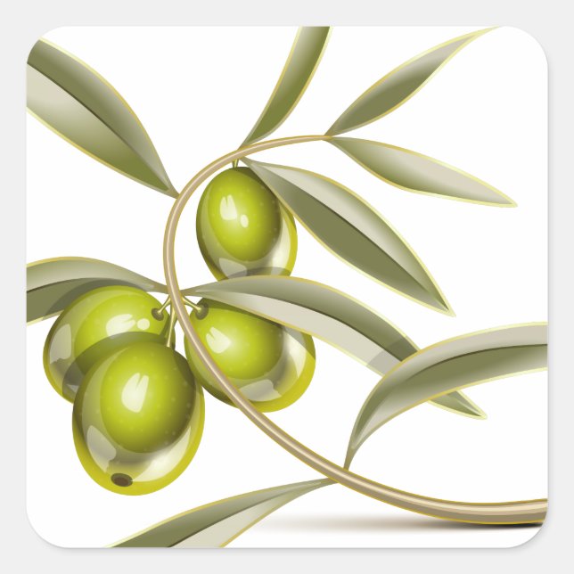 Sticker Carré Branche des olives vertes (Devant)
