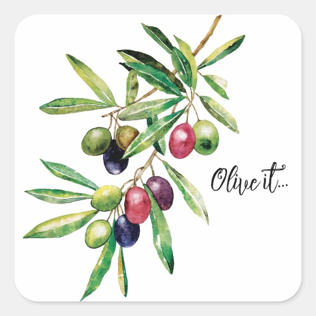 Sticker Carré Branche d'olive aquarelle (Devant)
