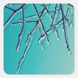 Sticker Carré branches de glace