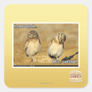 Sticker Carré Brothah d'heure-milliampère