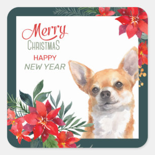 Sticker Carré Brown Chihuahua Chien Poinsettia Frontière Noël