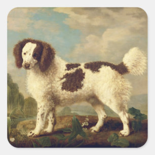 Sticker Carré Brown et blanc Norfolk ou Water Spaniel, 1778 (oi