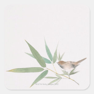 Sticker Carré Bruant et bambou