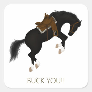 Sticker Carré Buck You ! Drôle de cheval noir