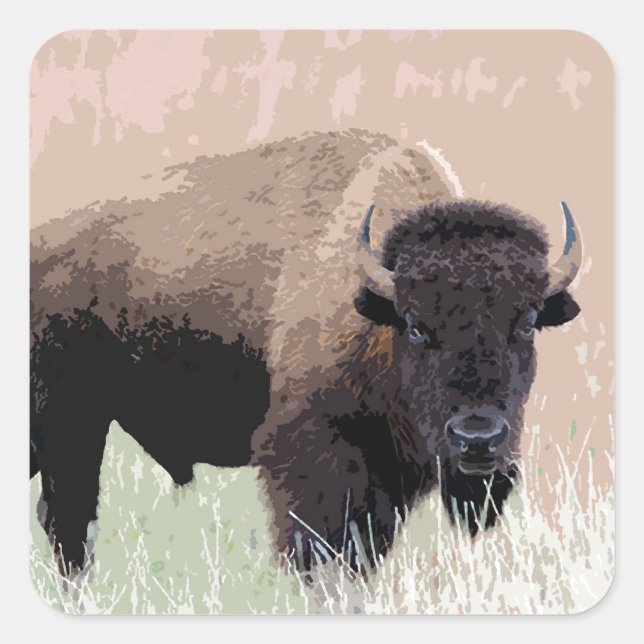 Sticker Carré Buffle / Bison (Devant)