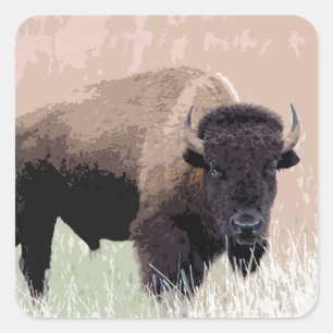 Sticker Carré Buffle / Bison
