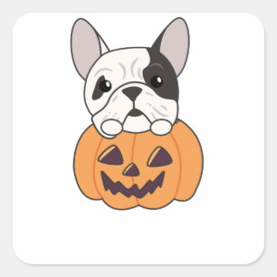 Sticker Carré Bulldog En Chiens Citrouilles Mignons Joyeux Hallo
