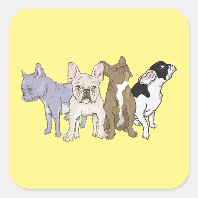 Sticker Carré Bulldogs français (Devant)