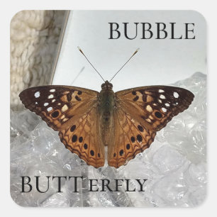 Sticker Carré Bulle BUTTerfly