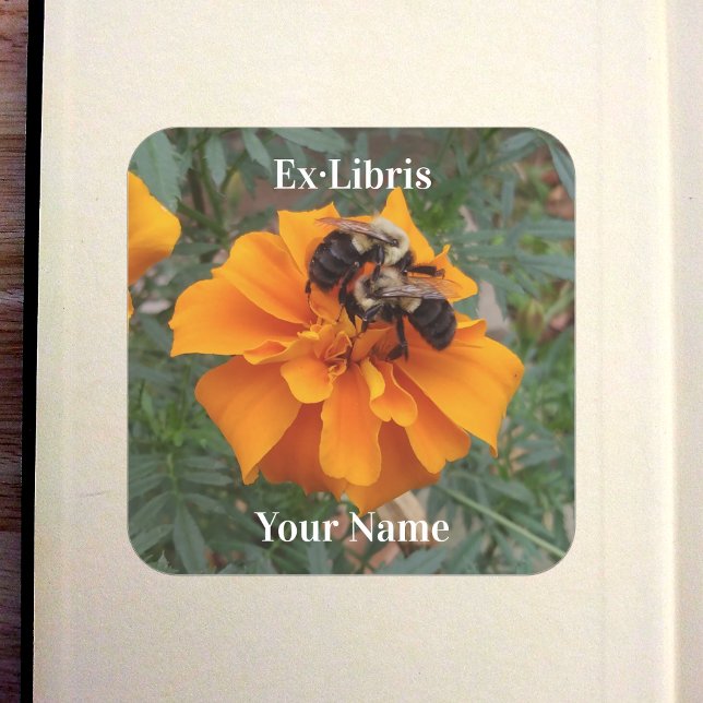 Sticker Carré Bumblebees on Marigold Bookplate (Bumblebees on Marigold Bookplate in Old Book)