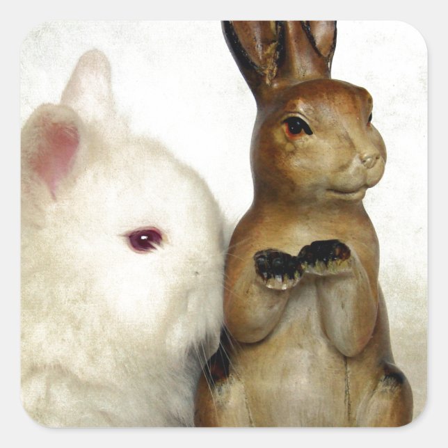 Sticker Carré Bunnies (Devant)