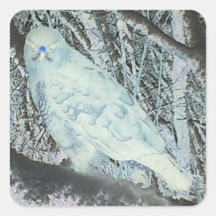 Sticker Carré Busard effrayant sur une branche Halloween Animaux