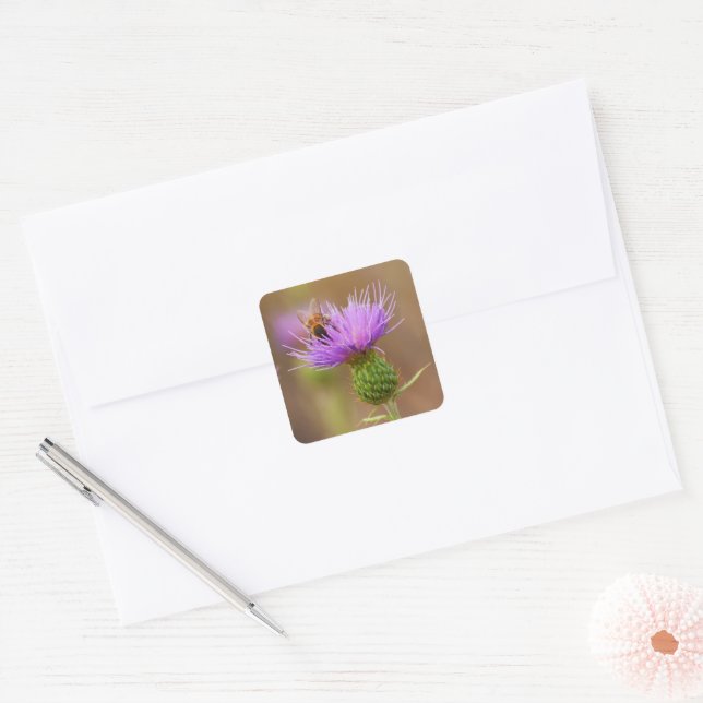 Sticker Carré Busy Bee sur Purple Thistle Photo (Enveloppe)