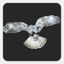 Sticker Carré Buzzard - Ailes et débarquement de la queue