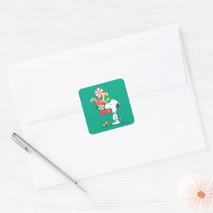 Sticker Carré cacahuètes Plus Le Merrier Est Merrier