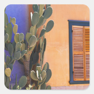 Sticker Carré Cactus du sud-ouest (Opuntia dejecta) et