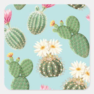Sticker Carré Cactus, fleurs roses : décor clair