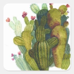 Sticker Carré Cactus, succulentes : aquarelle vintage.