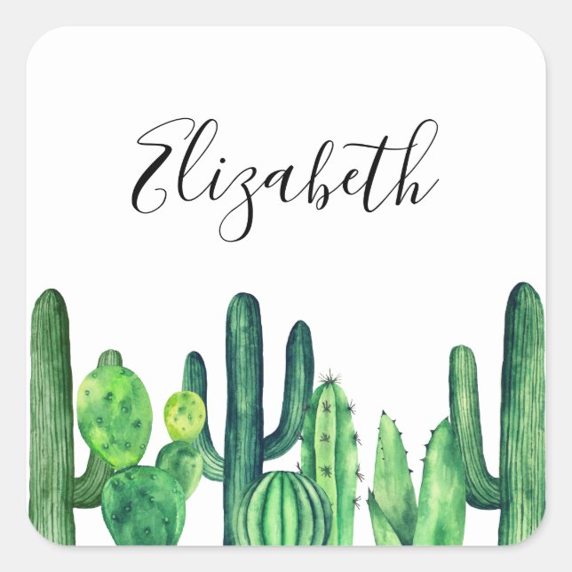 Sticker Carré Cactus vert. Cactus aquarelle. Name. Botanique (Devant)