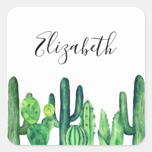 Sticker Carré Cactus vert. Cactus aquarelle. Name. Botanique