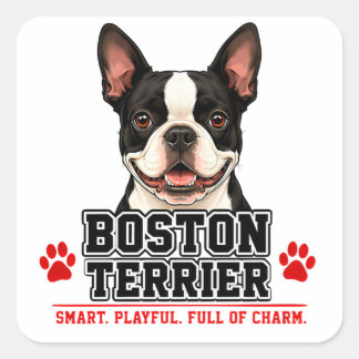 Sticker Carré 🐾 Cadeau pour amateur de Boston Terrier🐾