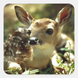Sticker Carré Cadeaux de cerfs de bébés