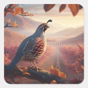Sticker Carré California Quail Birds Wildlife Nature Art