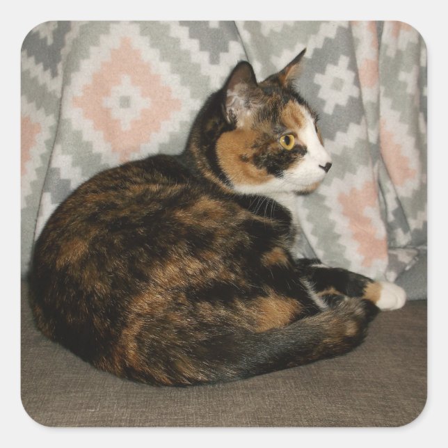 Sticker Carré Callie Cat sur Sofa (Devant)