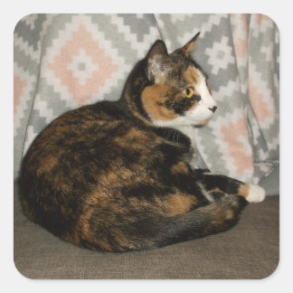 Sticker Carré Callie Cat sur Sofa