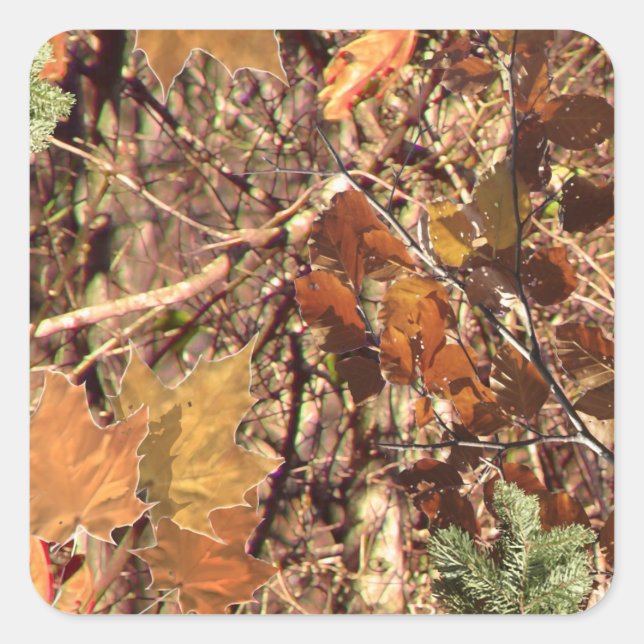 Sticker Carré Camouflage de la forêt de chasseurs Personnaliser (Devant)