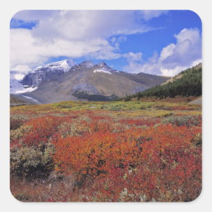 Sticker Carré Canada, Alberta, Parc national de Banff. Les airel