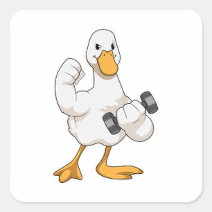 Sticker Carré Canard à Bodybuilding avec Dumbbell