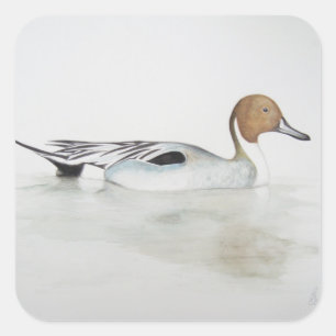 Sticker Carré Canard à ongles 2011