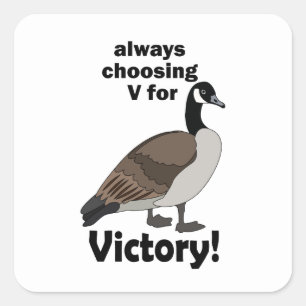 Sticker Carré Canard Goose Oiseau Choissant Toujours V Pour Vict