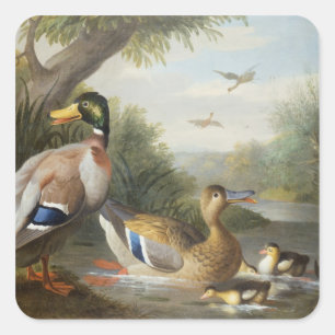 Sticker Carré Canards dans un paysage de rivière