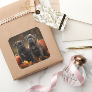 Sticker Carré Cane Corso Chiot Automne Citrouille de plaisir