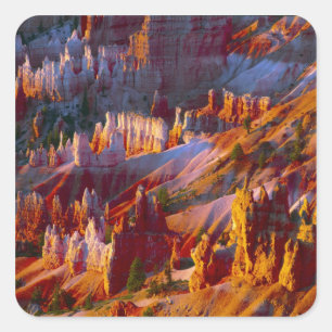 Sticker Carré Canyon Bryce, Utah, États-Unis 2