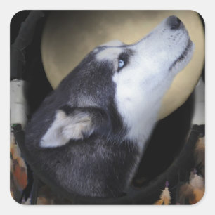 Sticker Carré Capteur de rêve et Husky aux yeux bleus