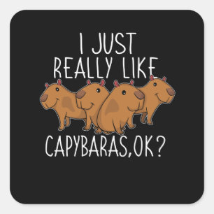 Sticker Carré Capybara Cadeaux Enfants Femmes Cute Capybara